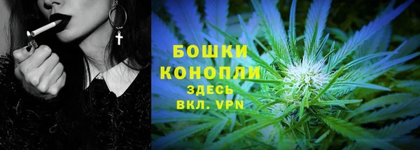 молекула духа Лагань