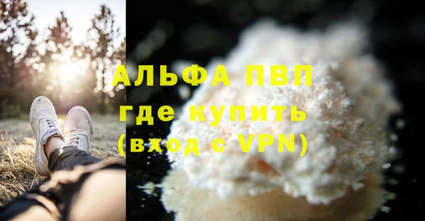 ешки Ладушкин