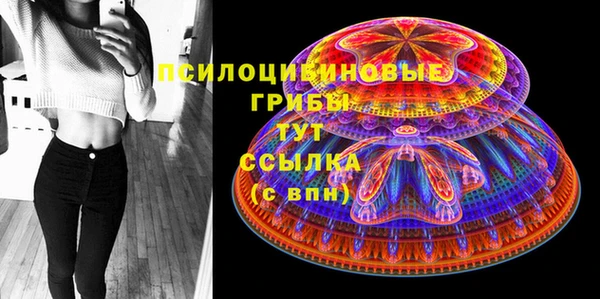 ешки Ладушкин