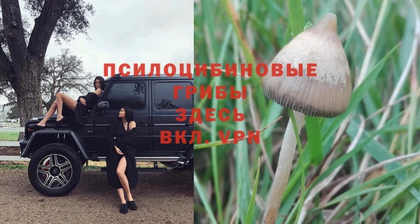 молекула духа Лагань
