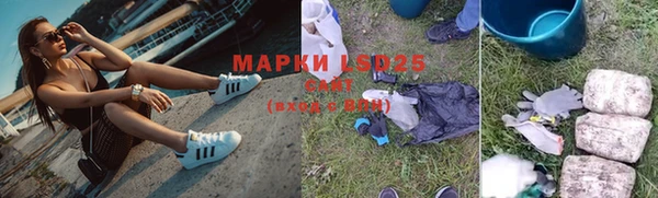 ешки Ладушкин